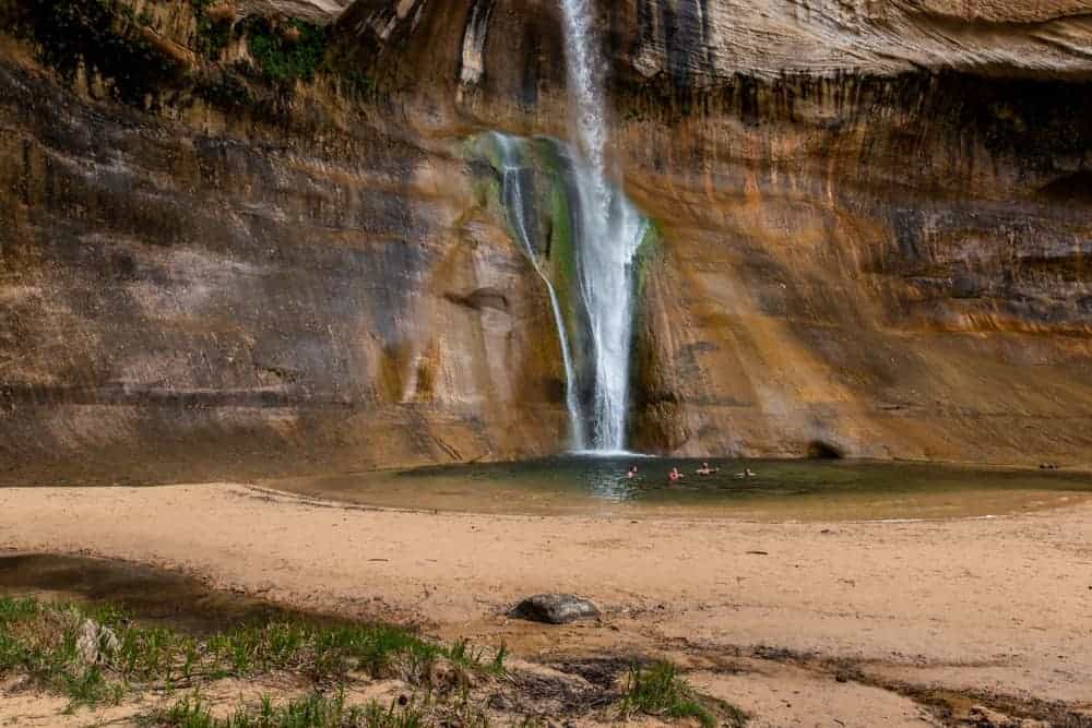 A group of young men in the cold pool of water at the bottom of the Lower Calf Creek Falls in Utah