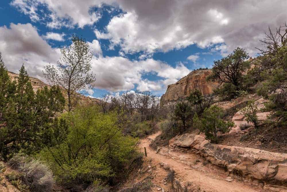 Lower Calf Creek Falls hiking trail under a blue sky with clouds