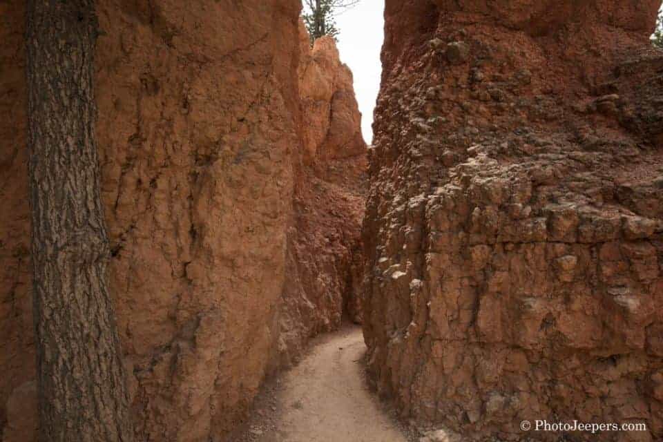 Tunnel on the Queen Anne trail in Bryce Canyon National Park, Utah, USA