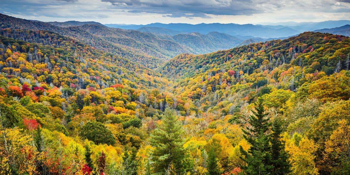 Fall colors are spectacular at Great Smoky Mountains National Park.