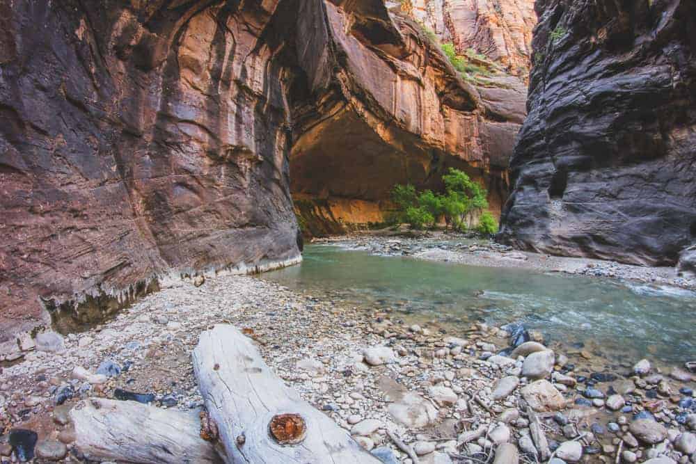 The Narrows is one of the most well known hikes for people visiting Zion National Park