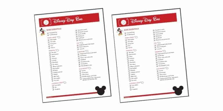 Disney Packing List: What to Pack for Day at Disney With Kids