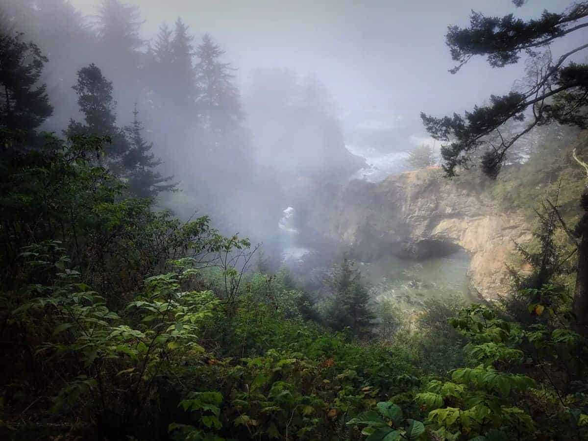 Foggy scene near Natural Bridges, Oregon.