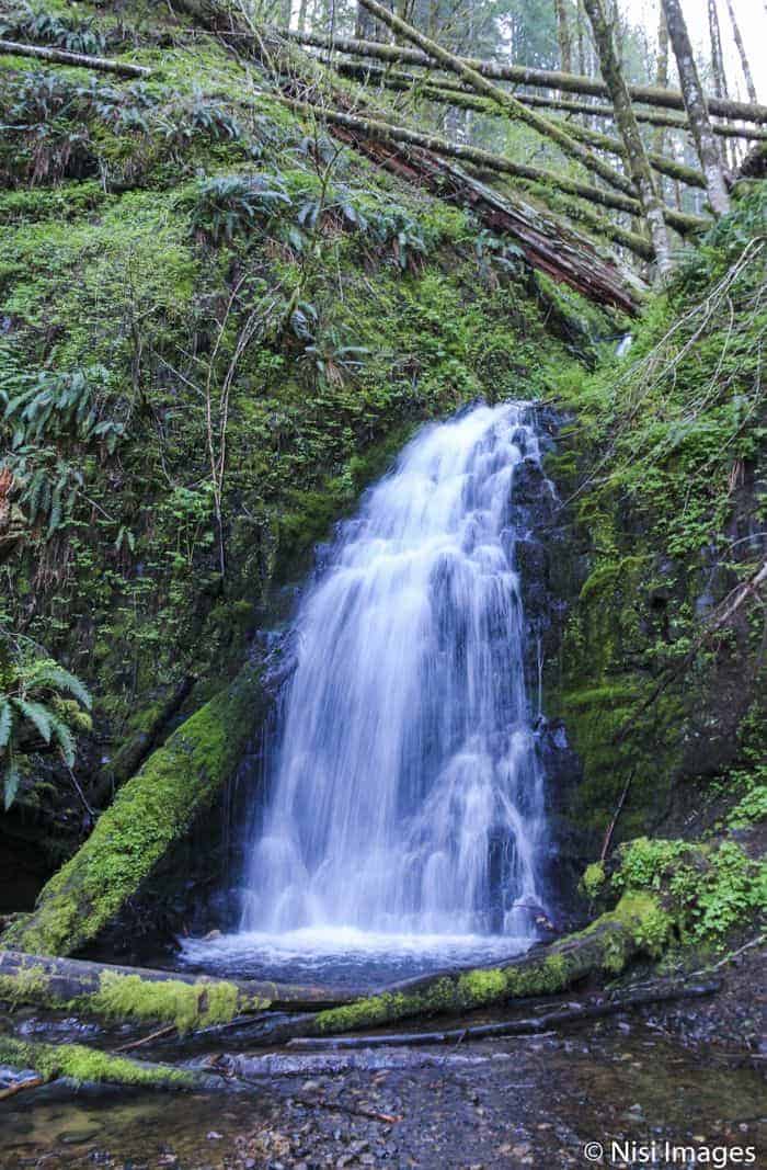 Photograph waterfalls in the Tillamook Forest.