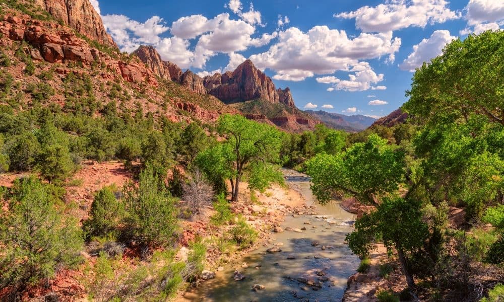Views you'll see along the Zion Canyon scenic drive.