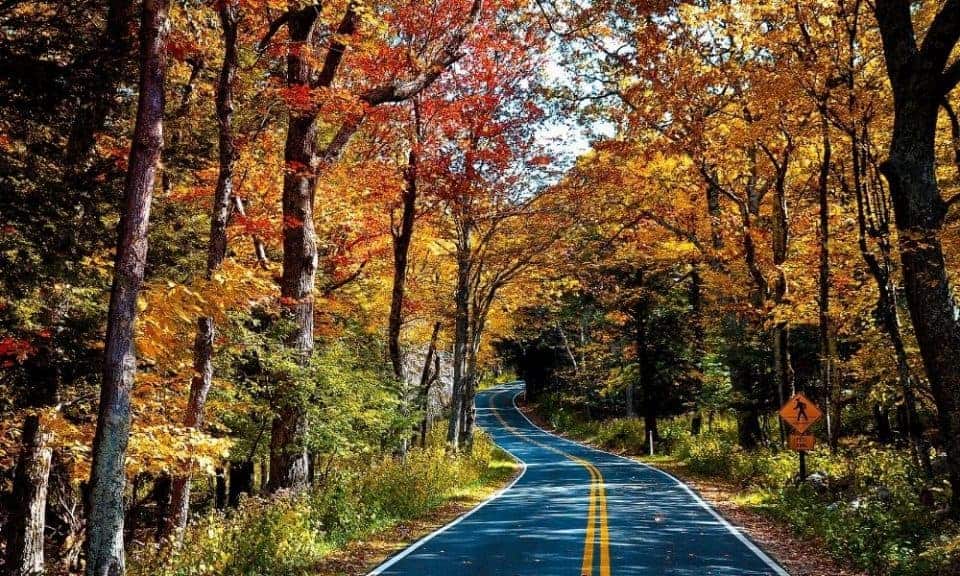 Shenandoah National Park in the fall