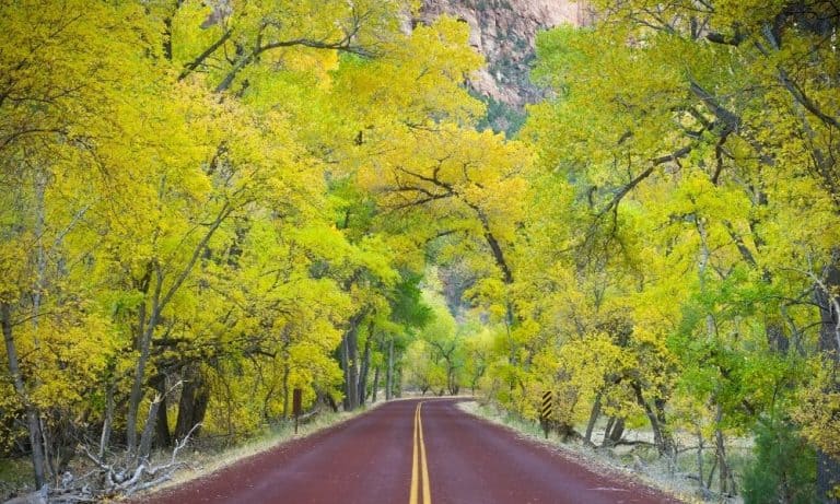 Vacation Guide for Zion National Park in the Fall