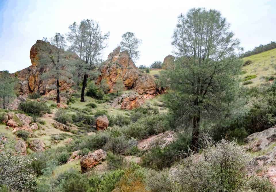 Pinnacles National Park in March