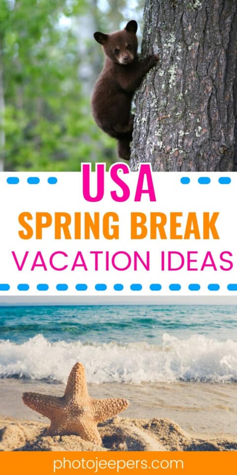 usa spring break vacation ideas