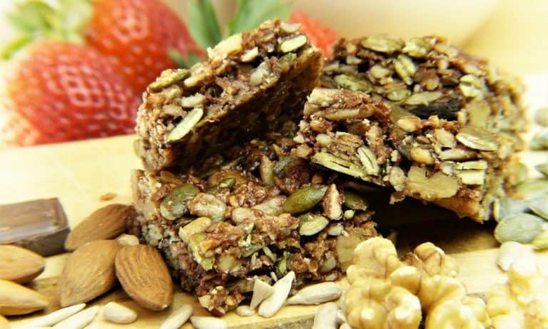 20 Best Healthy Travel Snack Recipes