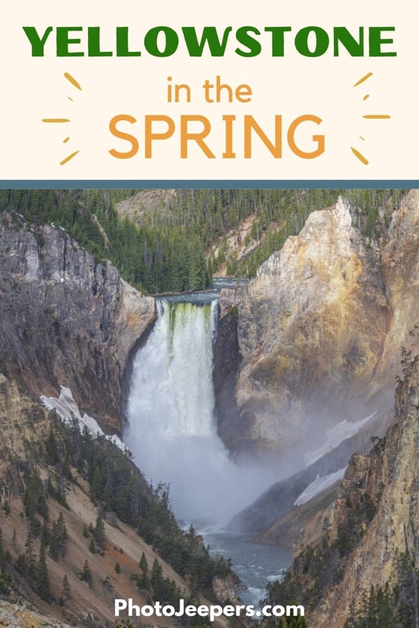 yellowstone in the spring