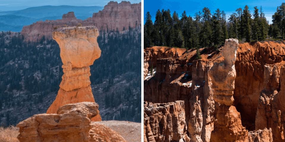 The Hunter and The Rabbit at Bryce Canyon