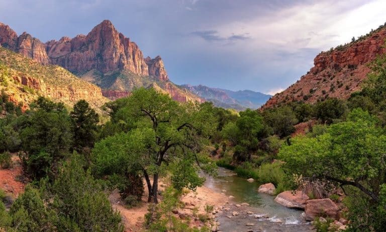 Visiting Zion National Park in the Spring