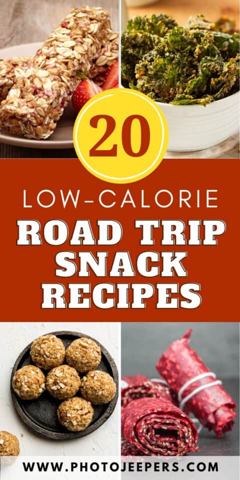 20 low calorie road trip snack recipes