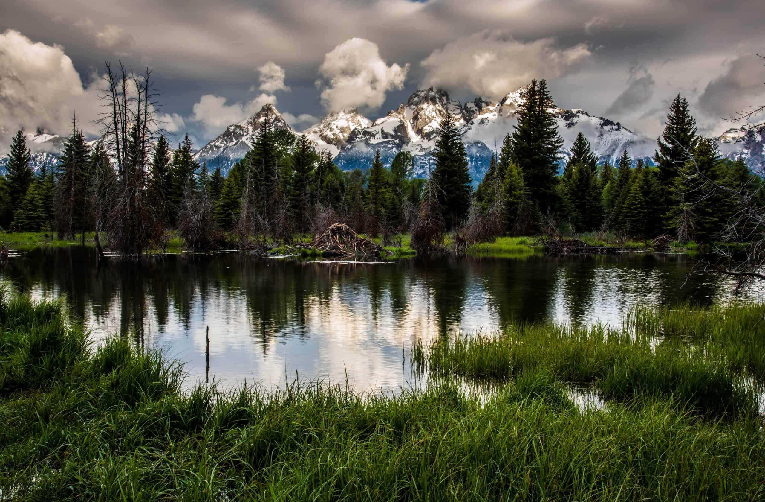 Visiting Grand Teton National Park in the Spring - PhotoJeepers