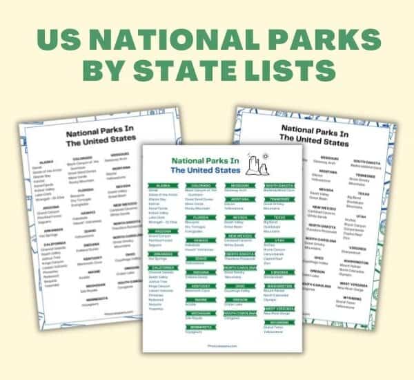 US NP by state store image
