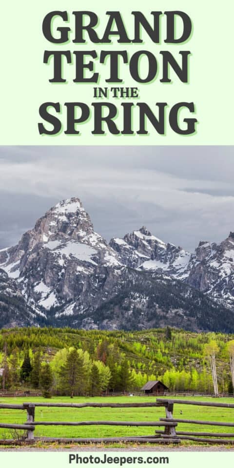 grand teton national park in the spring