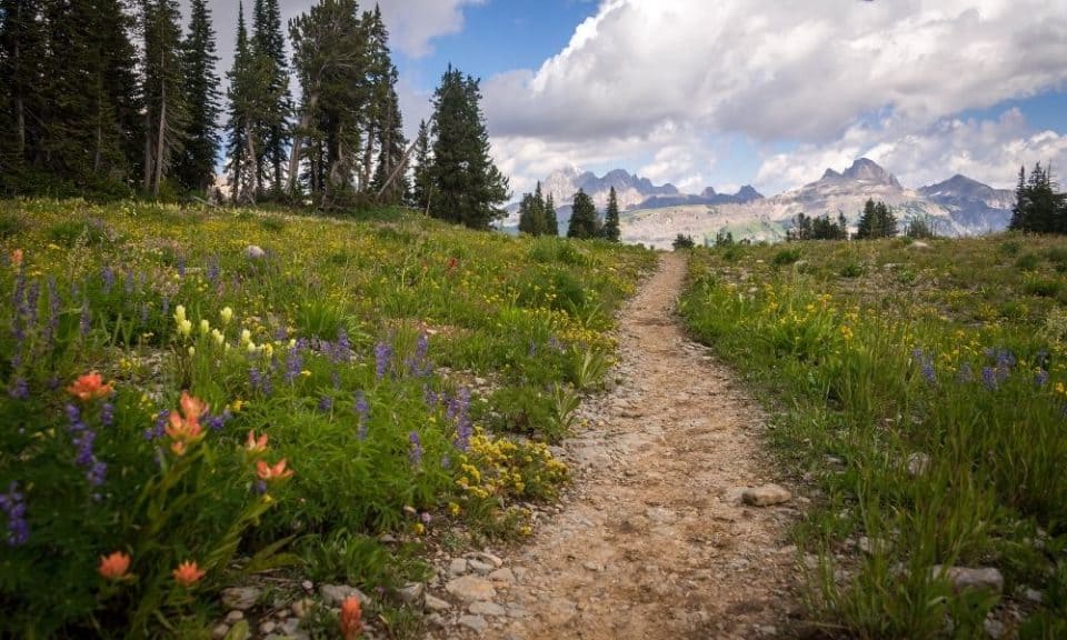 Grand Teton hiking trail