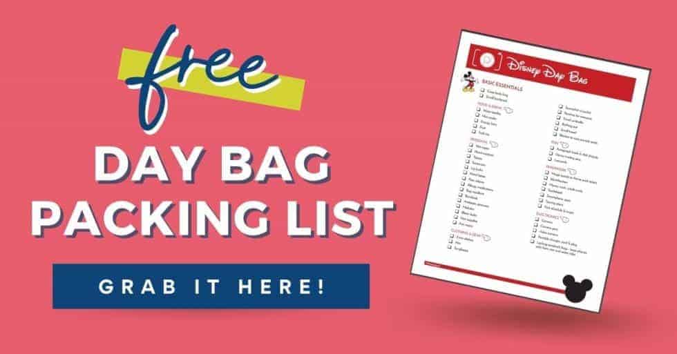 Disney Packing List: What to Pack for Day at Disney With Kids ...