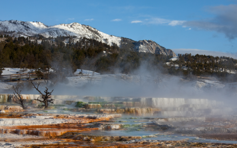 Mammoth Hot Springs area of Yellowstone