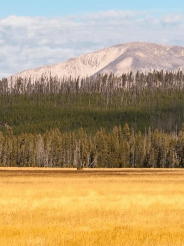 Yellowstone In October - Is It A Good Time To Visit Story