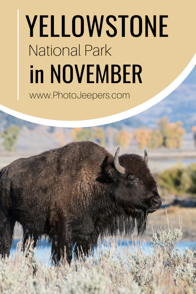 Yellowstone National Park in November