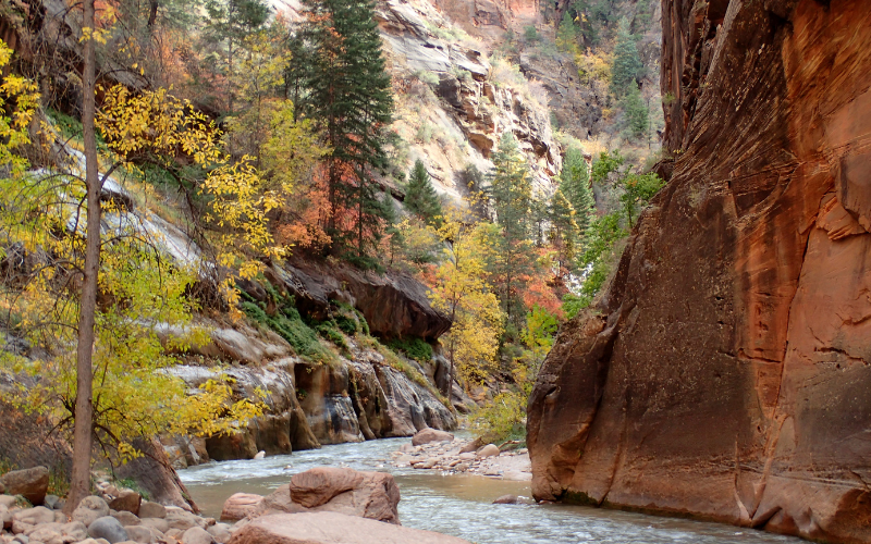 Zion Narrows hiking trail in the fall