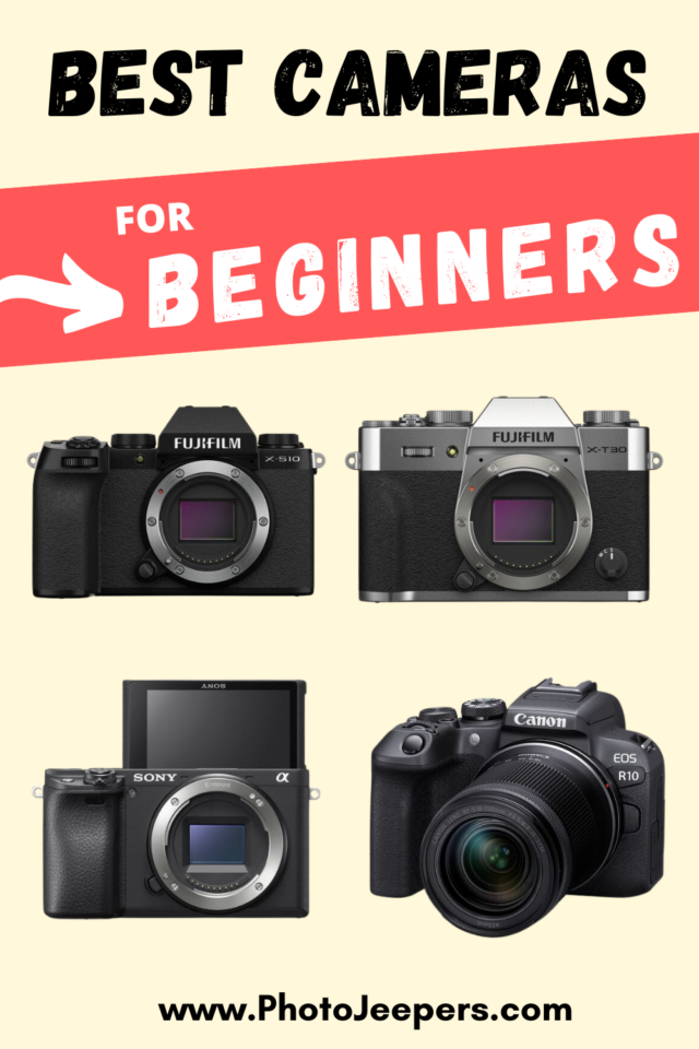 best cameras for beginners