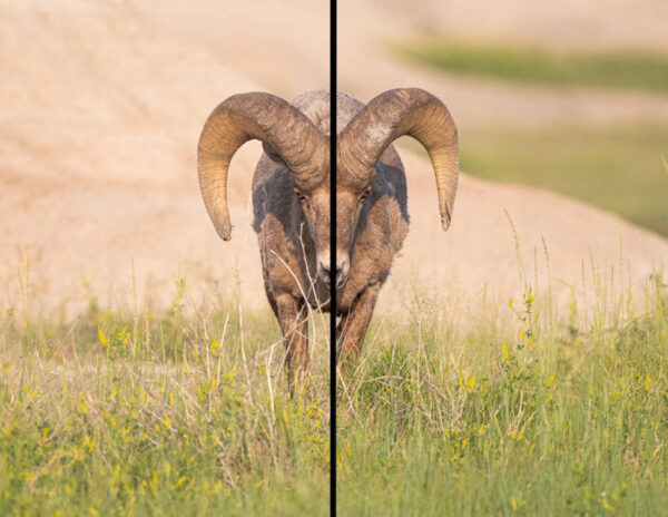 Landscape Photography Ideas Using Balance - PhotoJeepers