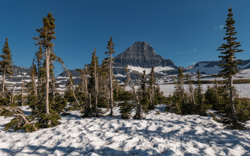 glacier national park in the winter
