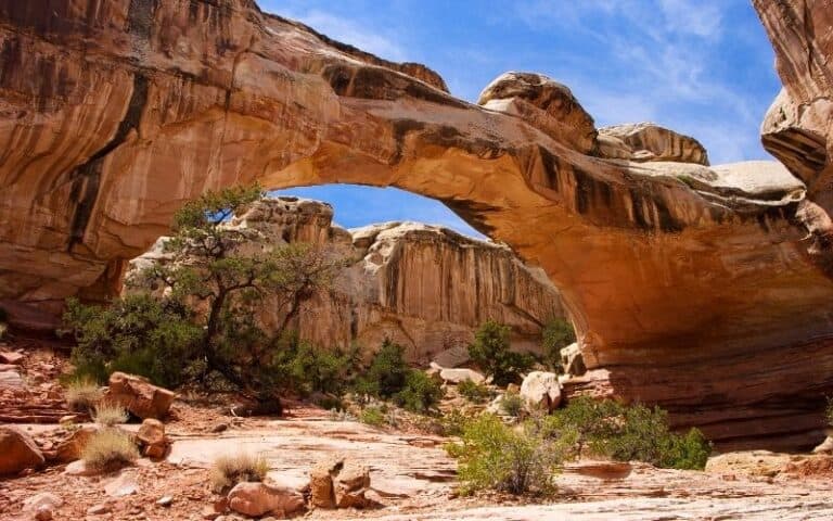 Planning a Vacation to Capitol Reef in March