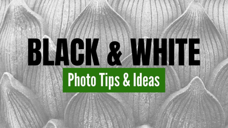 Black and White Photography Ideas