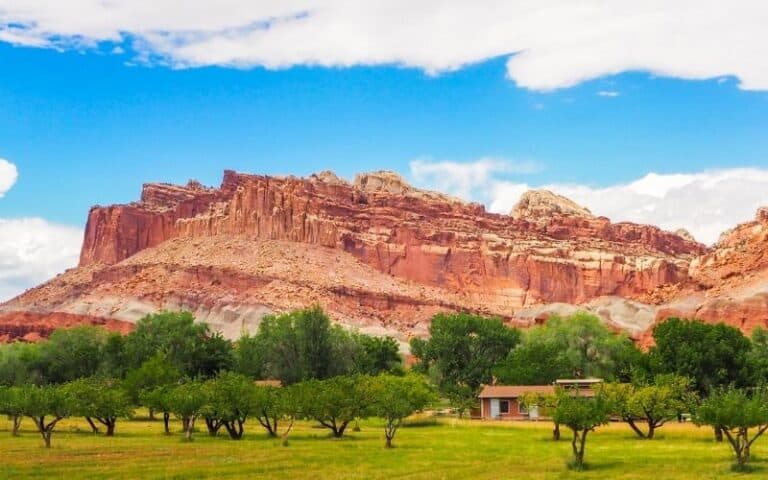 Visiting Capitol Reef National Park in the Summer