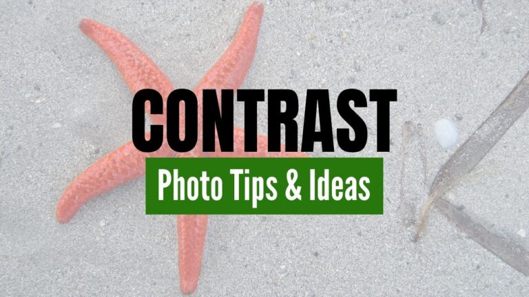 Photo Ideas for Using Contrast in Photography