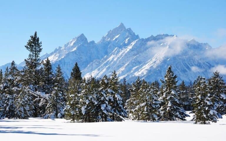 Things to Do at Grand Teton in February