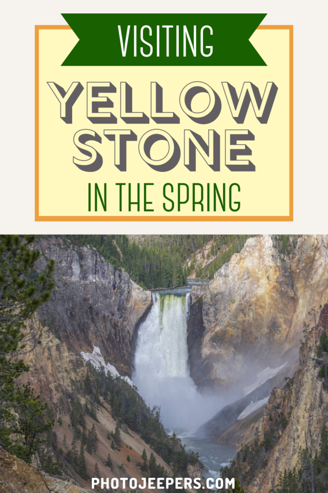 visiting yellowstone in the spring