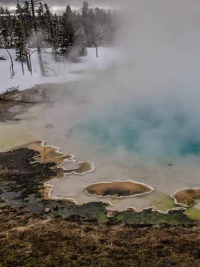 Yellowstone Winter Vacation: An Unforgettable Experience Story