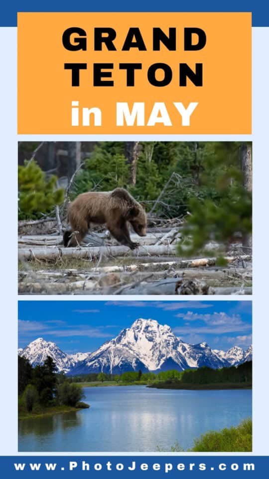 grand teton national park in May