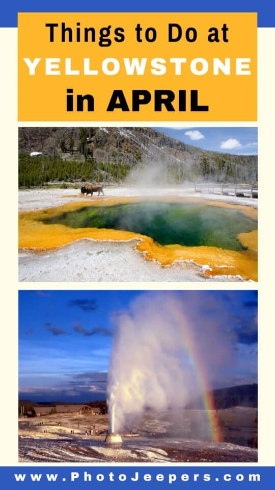 things to do at  Yellowstone in April