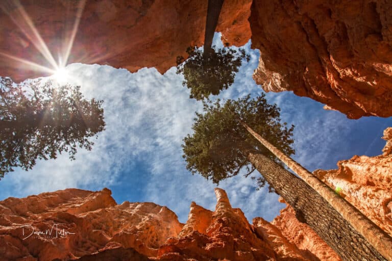 Tips to Take Amazing Bryce Canyon Photos