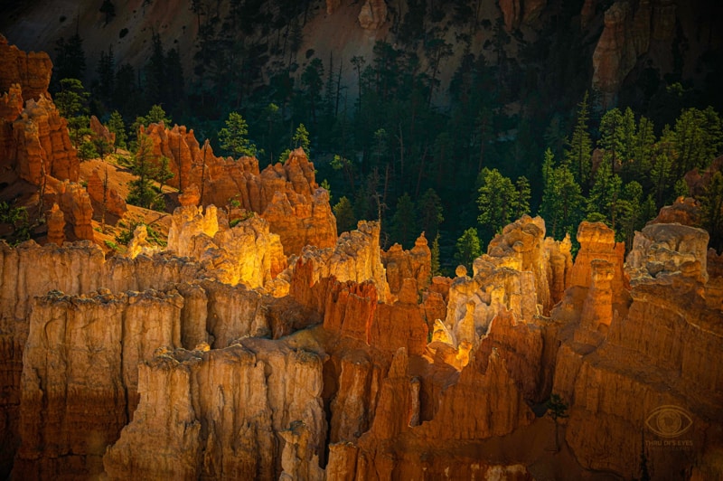 Dianne Saphiere reflected light Bryce Canyon photo