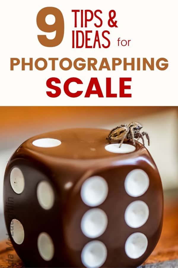9 tips ideas for photographing scale