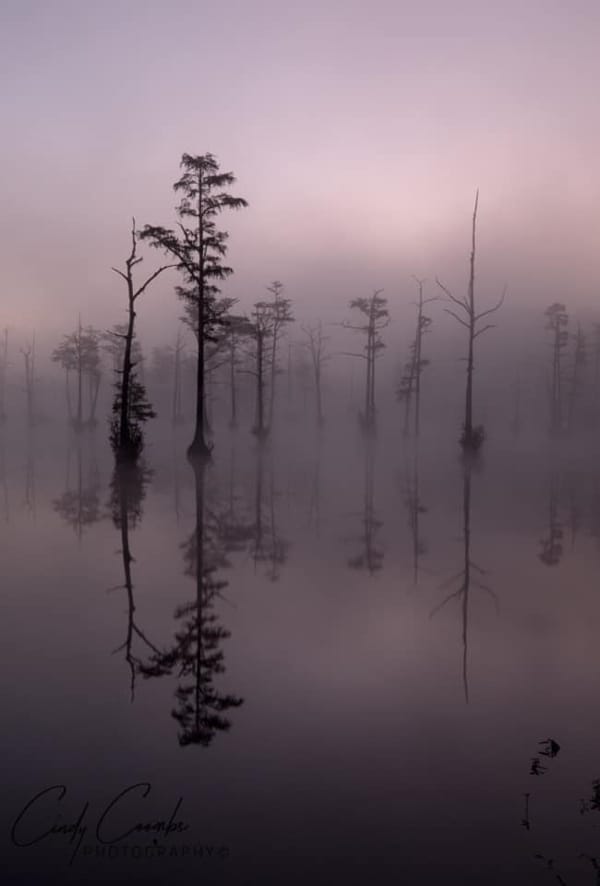 foggy landscape and reflection
