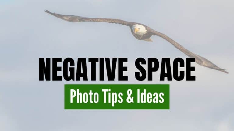 Negative Space Photography Ideas and Tips