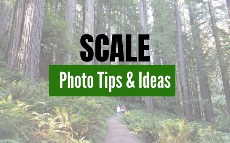 Scale Photography Ideas and Tips