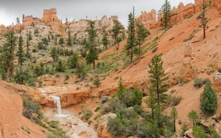 Visiting Bryce Canyon National Park in June