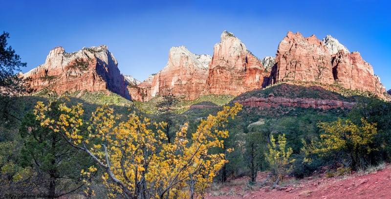 Three Patriarchs photo in the fall at Zion