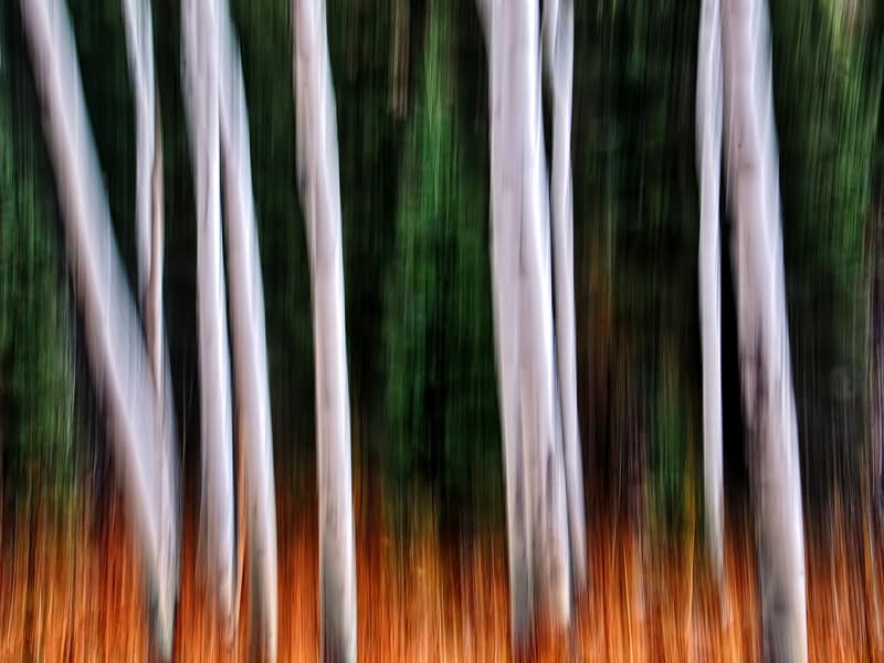 abstract photo using motion blur
