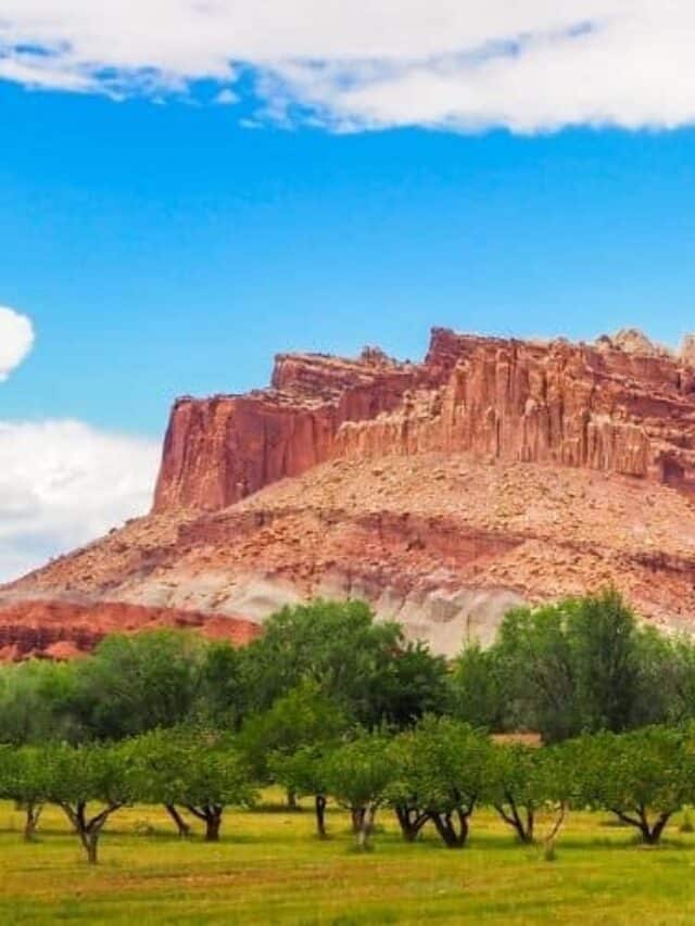 Guide to Visiting Capitol Reef in June Story