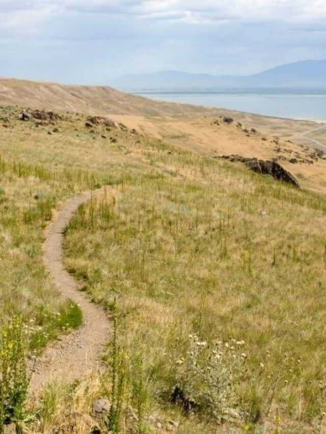 Summer Activities at Grand Teton National Park Story